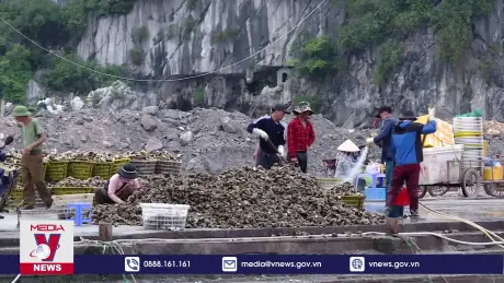 Đài Loan, Lào ồ ạt nhập hàu tươi của Việt Nam