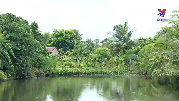 Hộp thư VNews: Cán bộ thôn giao thầu sông để gây quỹ?