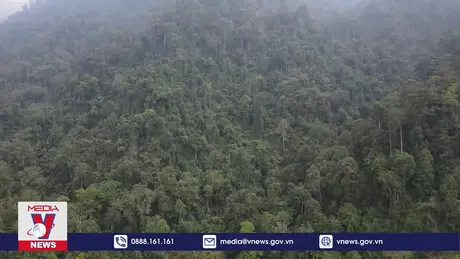 Cơ hội xuất khẩu tín chỉ Carbon rừng ở Nà Hẩu