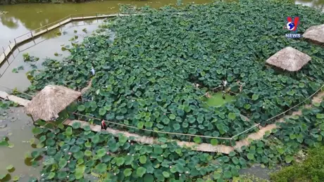 Văn hoá toàn cảnh ngày 19/7/2024