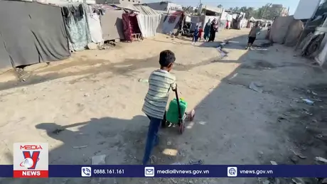 Nguy cơ bùng phát virus bại liệt ở Dải Gaza