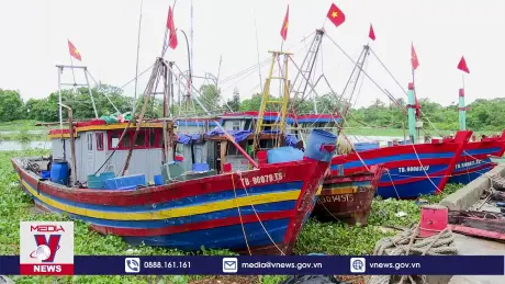 Thái Bình Chủ động ứng phó áp thấp nhiệt đới khả năng mạnh lên thành bão