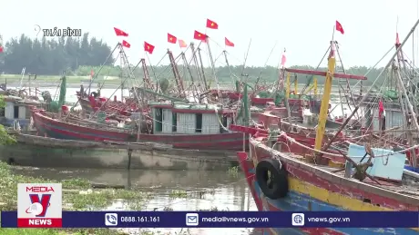 Thái Bình cấm biển từ 9 giờ sáng 22/7
