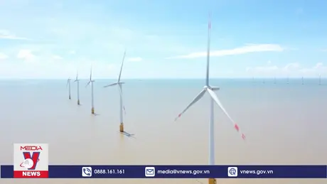 Đề xuất 3 phương án chọn nhà đầu tư điện gió ngoài khơi