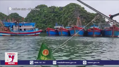 Bộ đội biên phòng Quảng Ninh, Hải Phòng kêu gọi tàu thuyền vào nơi tránh trú an toàn