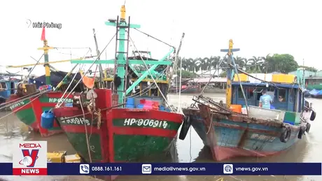 Hải Phòng đã sẵn sàng ứng phó với bão số 2