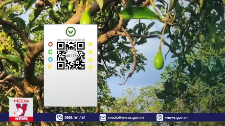 Hoàn thiện chính sách ưu tiên phát triển nông nghiệp công nghệ cao