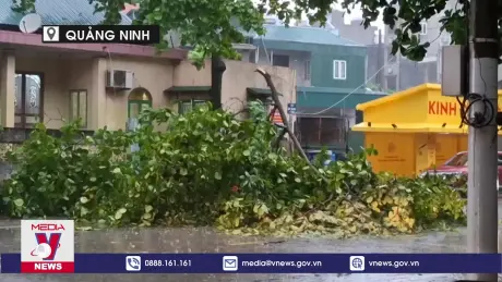 Bão số 2 đổ bộ vào Quảng Ninh