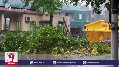 Quảng Ninh tập trung khắc phục hậu quả sau bão