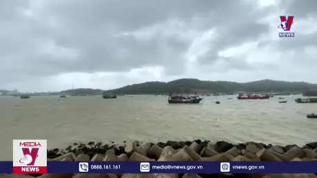 Bản tin thời sự 8h ngày 23/7/2024