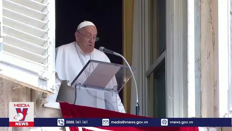 Giáo hoàng Francis kêu gọi khôi phục truyền thống đình chiến