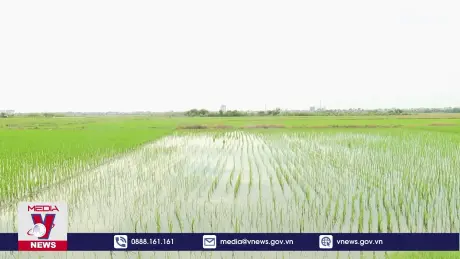 Thái Bình khẩn trương khắc phục ảnh hưởng bão số 2