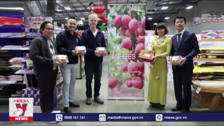 Quả vải Việt Nam “cháy hàng” tại  Australia