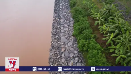 Mạng lưới công trình đê, kè dần được đầu tư hiện đại