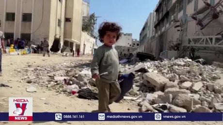 Cảnh báo nguy cơ cao lây lan virus bại liệt ở Gaza