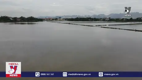 Khẩn trương tiêu úng cho diện tích lúa bị ngập