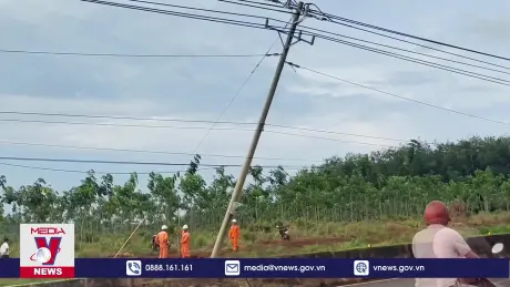 Hàng loạt trụ điện gãy, đổ gây mất điện diện rộng