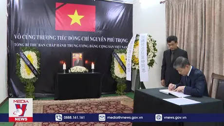 Lễ viếng Tổng Bí thư Nguyễn Phú Trọng tại Algeria, Nam Phi, Ai Cập