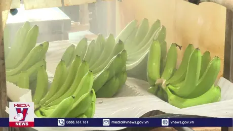 Xuất khẩu rau quả 7 tháng ước đạt trên 3,8 tỷ USD