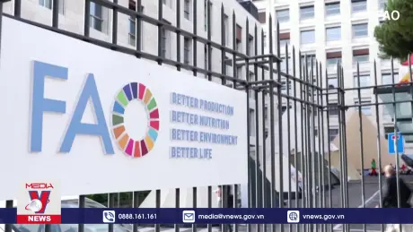 FAO kêu gọi tăng cường nỗ lực chống cúm gia cầm