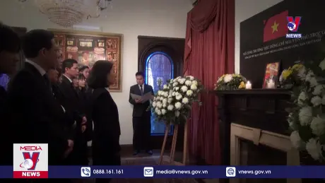 Bản tin thời sự 11h ngày 26/7/2024