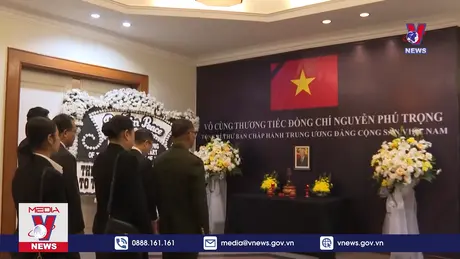 Bản tin thời sự 22h ngày 25/7/2024