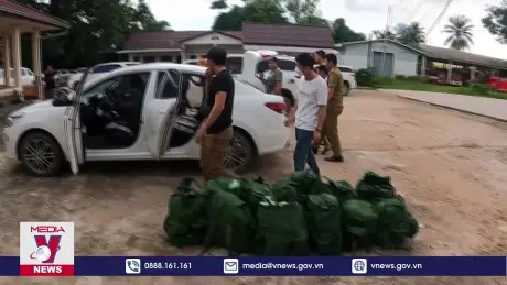 Bắt đối tượng vận chuyển trên 200kg ma túy tại Hà Tĩnh