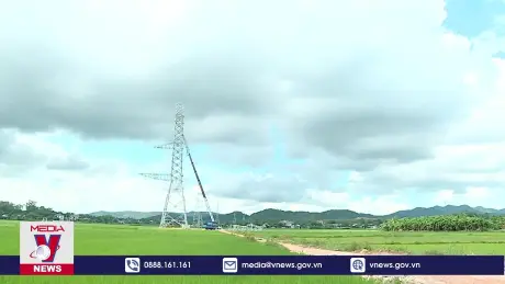 Thi công Đường dây 500kV với sức mạnh đoàn kết