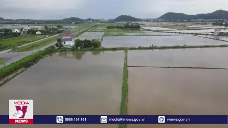 Diện tích lúa bị ngập không thể khôi phục sản xuất
