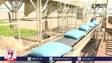 Việt Nam dẫn đầu về xuất khẩu gạo sang Singapore