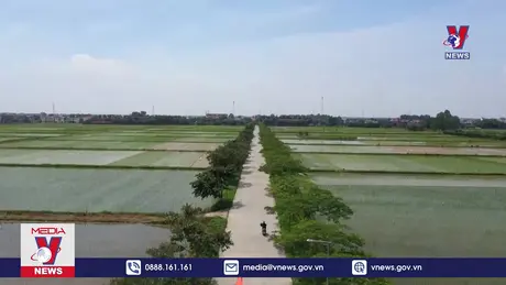 Bản tin thời sự 20h ngày 28/7/2024