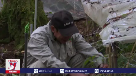 Hơn 80.000 nguồn gene đặc hữu, quý, hiếm được bảo tồn, lưu giữ