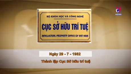 Khoảnh khắc & Sự kiện ngày 29/7/2024