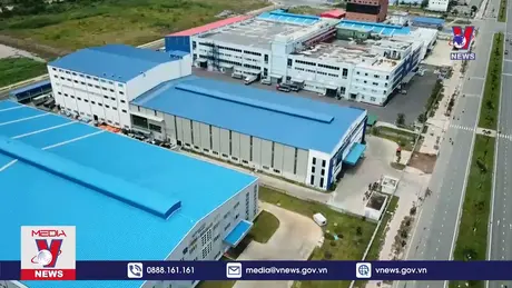 Bản tin thời sự 6h ngày 29/7/2024