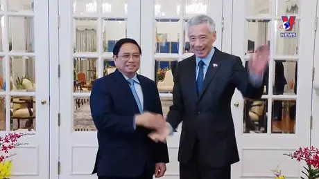 Việt Nam với bạn bè quốc tế: Quan hệ Việt Nam - Singapore