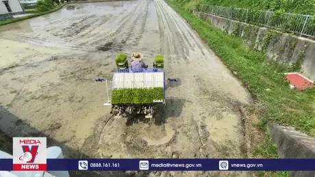 Nhật Bản tìm cách giữ chân lao động nước ngoài ở lại vùng nông thôn