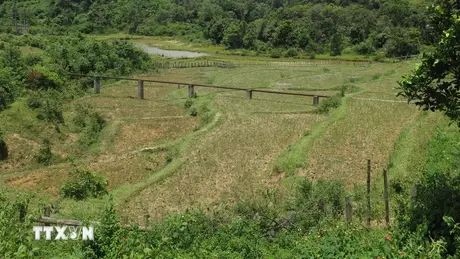 Chiều 29/7, tỉnh Kon Tum lại hứng thêm 7 trận động đất