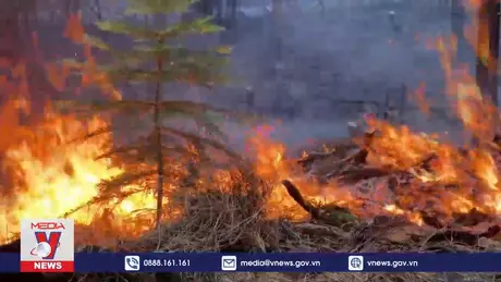 Hơn 100 đám cháy rừng hoành hành khắp nước Mỹ