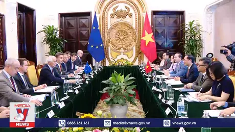 Việt Nam - EU thúc đẩy quan hệ đi vào chiều sâu