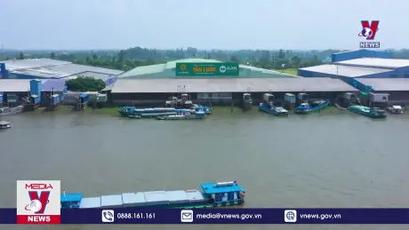 Bản tin thời sự 8h ngày 30/7/2024