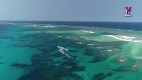 Thế giới hôm nay: Ngoại trưởng QUAD 'quan ngại sâu sắc' về căng thẳng ở Biển Đông