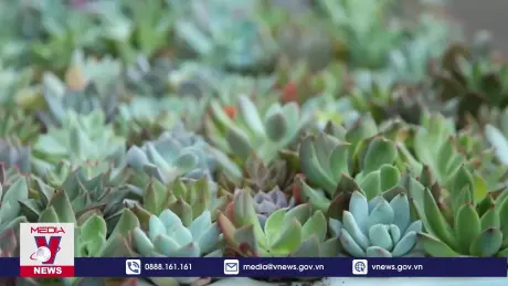 Đổi sách lấy cây, thông điệp của giới trẻ