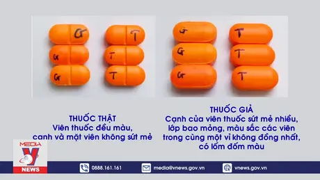 Bộ Y tế cảnh báo thuốc kháng sinh giả