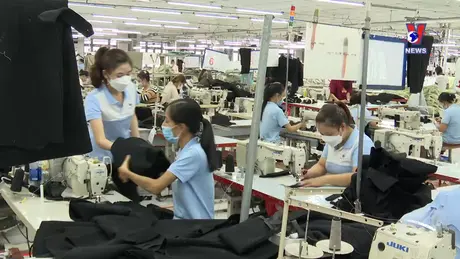 Vì an sinh cuộc sống: Cần hạn chế rút BHXH một lần