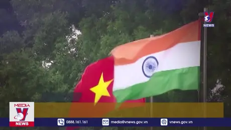 Bản tin thời sự 6h ngày 31/7/2024