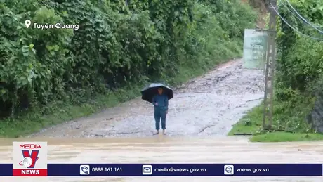 Mưa lớn khiến nhiều nhà dân, hoa màu ở Tuyên Quang bị thiệt hại
