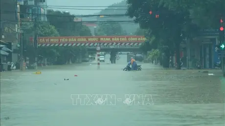 Thời tiết ngày 31/7: Bắc Bộ duy trì mưa dông diện rộng