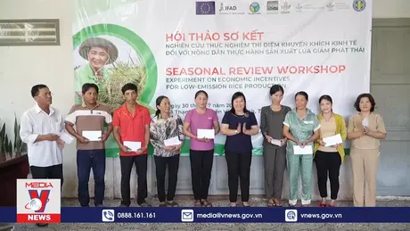 Trao thưởng cho nông dân canh tác lúa giảm phát thải