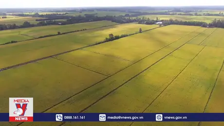 Thặng dư thương mại nông nghiệp tăng 60%