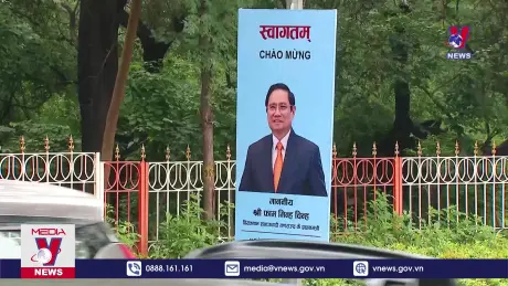 Bản tin thời sự 20h ngày 31/7/2024